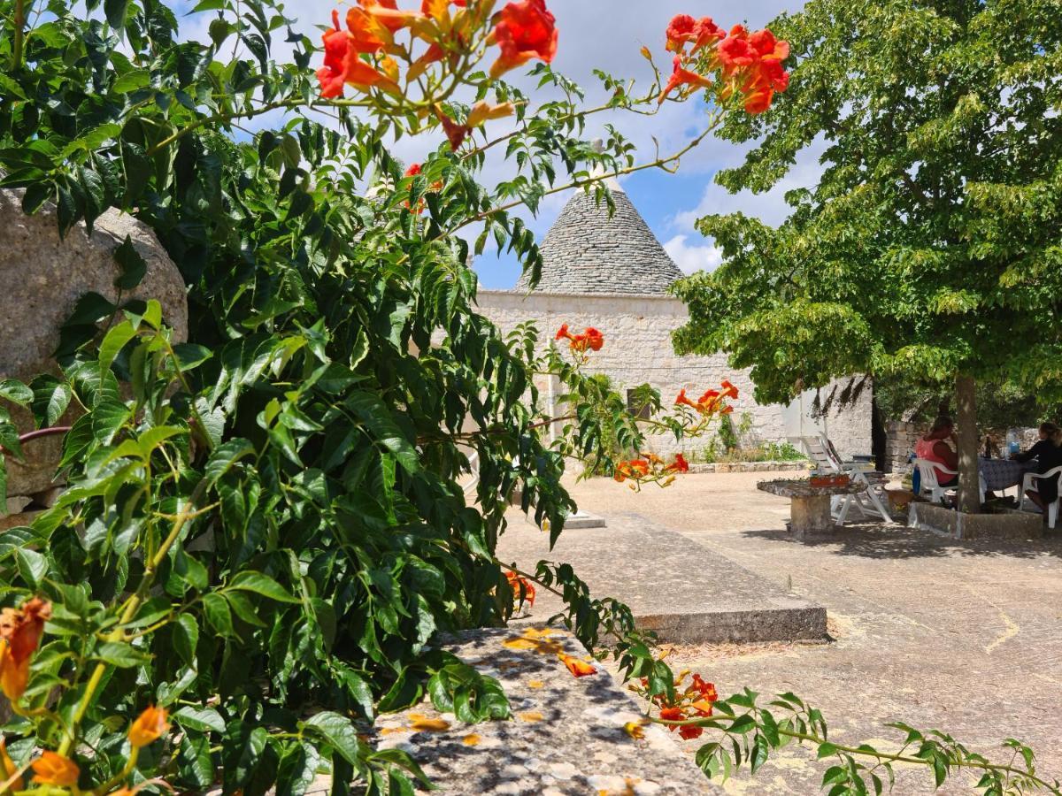 Trulli L'Utopia Di Anny Trulli Anny'S Utopia Локоротондо Экстерьер фото